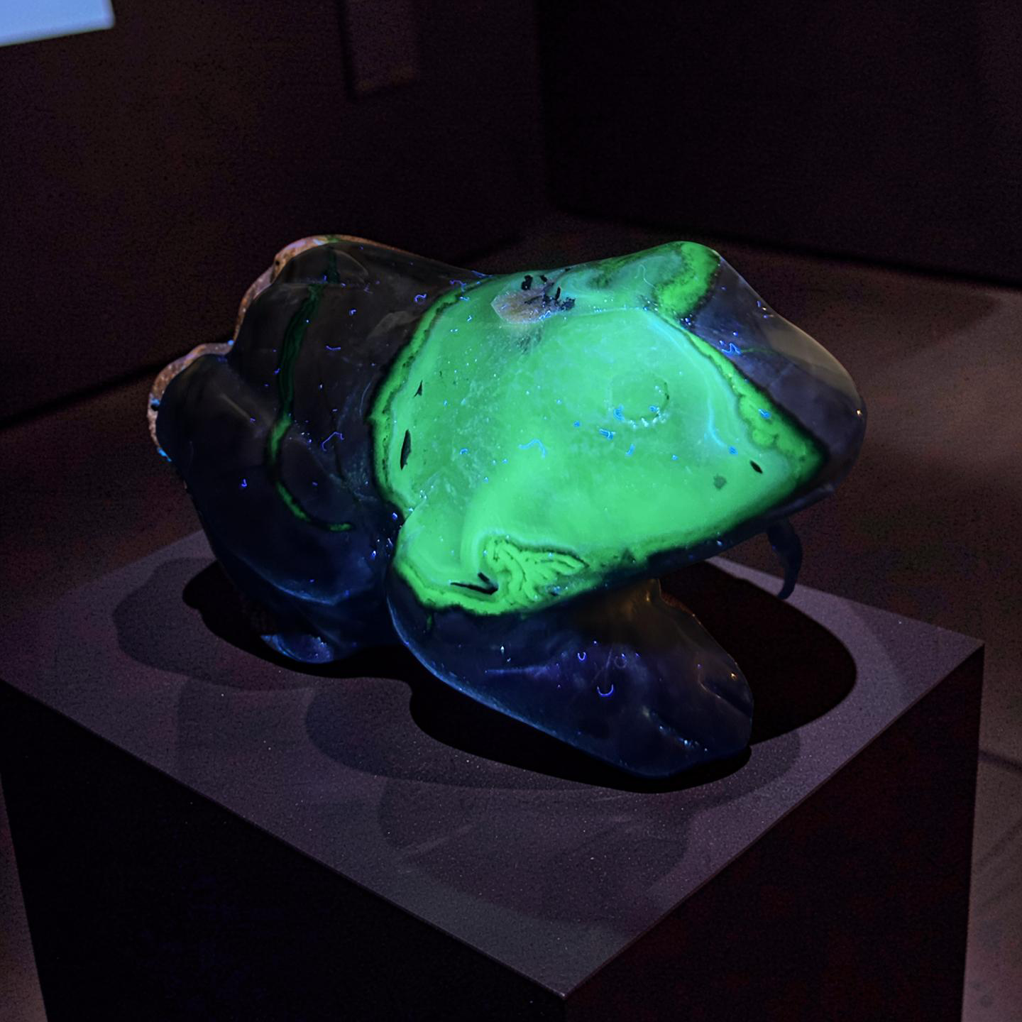 Volcano Agate Frog